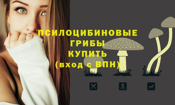 молекула духа Абинск