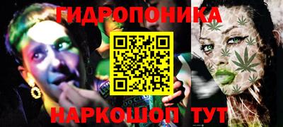 твердый Кингисепп