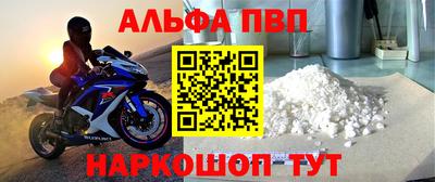 твердый Кингисепп