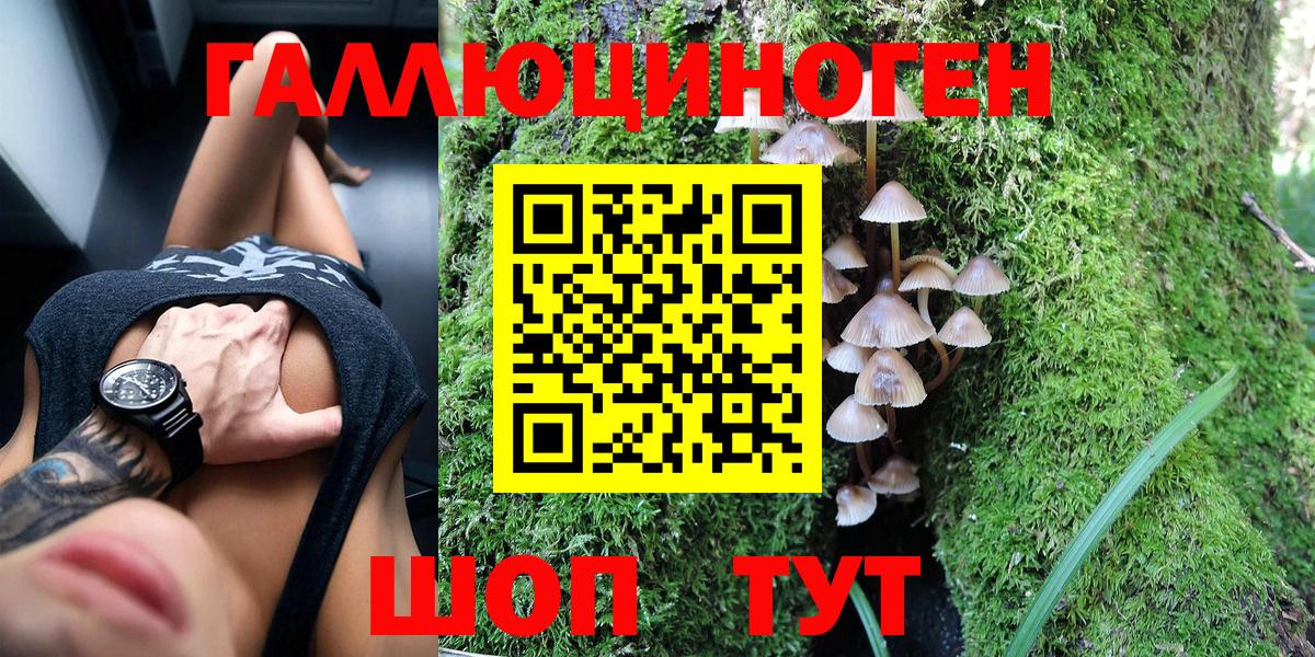 Псилоцибиновые грибы GOLDEN TEACHER  Галлюциногенные грибы мухоморы  Ковров  Вход с VPN 